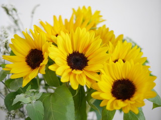 Obraz premium ヒマワリの花束