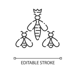 Queen bee linear icon. Beehive hierarchy. Thin line customizable illustration. Contour symbol. Honeybee workers with colony queen. Flying insects vector isolated outline drawing. Editable stroke