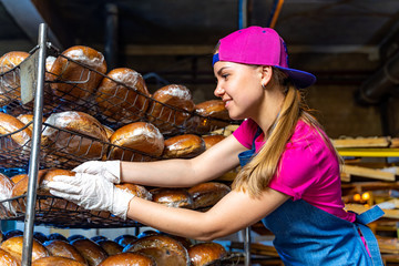 Young happy female worker in sterile cloths holding freshly baked muffins on tinplate inside food production factory.