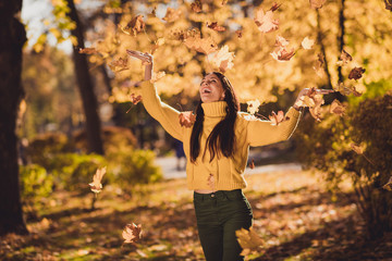 Sunny weather autumn day best rest relax choice. Positive girl imagine she kid throw catch fall fly maple yellow leaves in town center woods park outdoors wear knitted pullover sweater