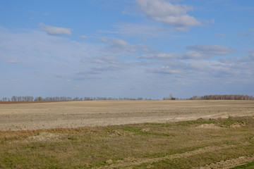 Obraz premium Beautiful cloudy sky over farmland. Spring landscape.