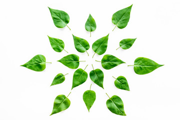 Naklejka premium Lauout of green leaves - nature background. Top view