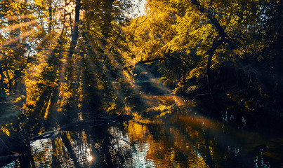Fototapeta na wymiar sun rise in autumn forest by the river 