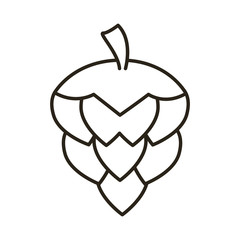 hop seed oktoberfest line style