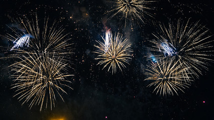 Festive colored fireworks on background a night sky