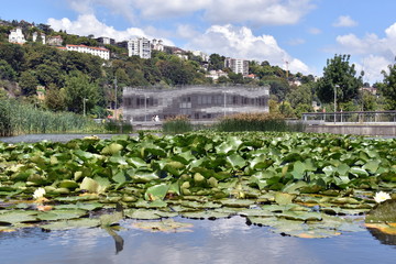 Seerosenteich im Stadtviertel Confluence in Lyon