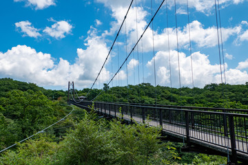Fototapeta na wymiar 那須高原　つつじ吊り橋