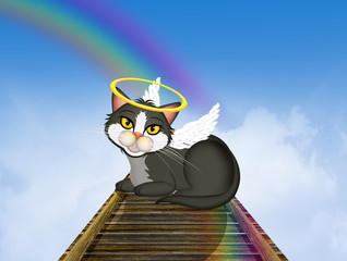black kitten on the rainbow bridge