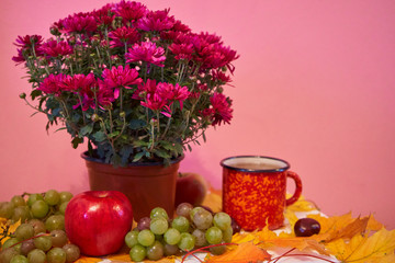 cup of tea with fruits in autumn,autumn chrysanthemum composition with a cup of tea and fruit