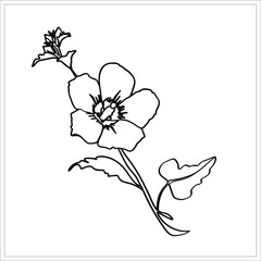 Hibiscus  pattern.Image on white  and colored  background.