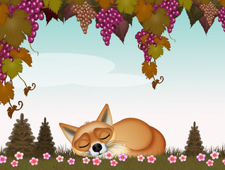 funny illustration of fox sleeping under the grapes