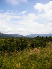 view from the top of the hill