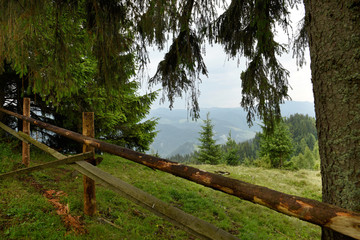 Fototapeta na wymiar Summer view of mountains among green firs. An arch made of fir branches and an old wooden fence.