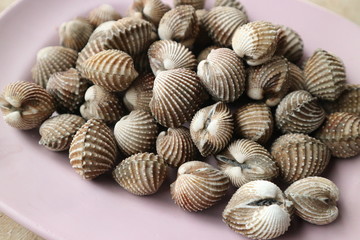 Close up seafood Thailand menu called Hoi Krang Pao or Grilled Cockle on a plate.