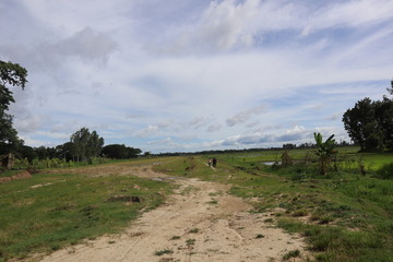 The landscape of coastal rural areas. Blue and white cloudy skies and vast green fields