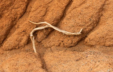 Fairytale Canyon Stick Kyrgyzstan