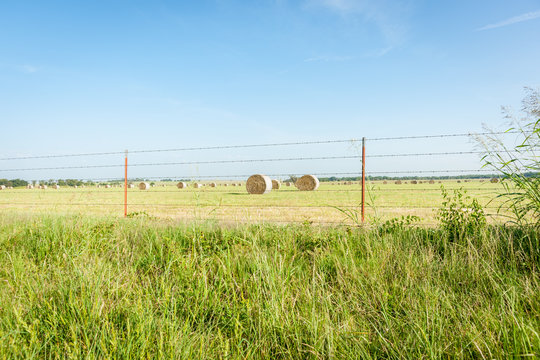 Rural scene, field with haybales, Oklahoma.