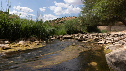 Water table