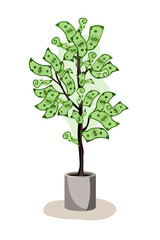 Green potted tree growing currency with dollar sign on white background, vector illustration