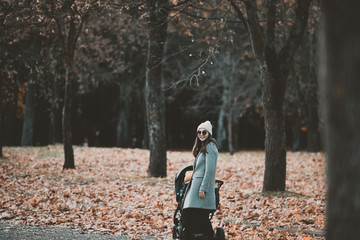 girl in the autumn park walks with a stroller