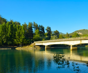 Fototapeta na wymiar bridge over the river in the forest 