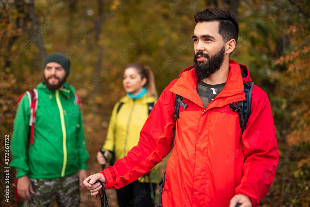 Wall mural young backpackers in warm jackets exploring autumn forest