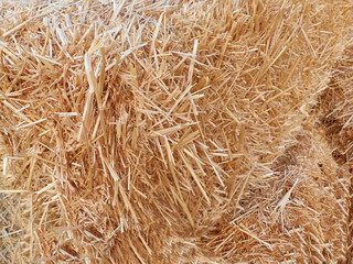 Stacks of dry straw. Piled straw haystacks. Natural dry straw texture background