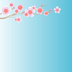 Flowers design. Branch of Sakura on light blue gradient background. Apple-tree flowers. Cherry blossom. Vector