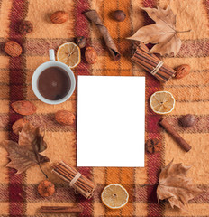 old checkered blanket with orange red and brown patterns.dry leafs and fruits. autumn background. plain white sheet of paper. cup of coffee
