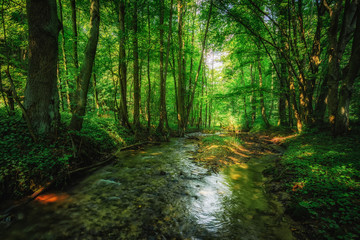 jura krakowsko-częstochowska, doliny w małopolsce, 