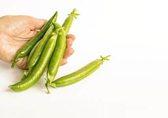 A large handful of ripe raw peas in the palms of man's hands. Concept of proper healthy nutrition, agriculture. Copy space