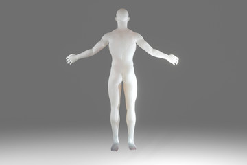 Human anatomy visualisation