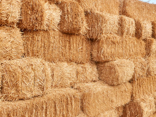 Piled stacks of dry golden hay straw