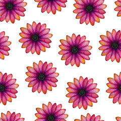 seamless floral pattern with vibrant pink and purple daisy flowers, colorful hand drawn floral illustration for backgrounds, fabric, wrapping or wallpaper, floral textile design