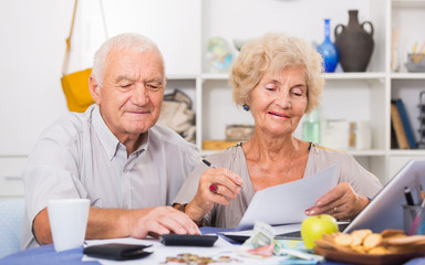 Fototapeta na wymiar Portrait of happy senior spouses with bills and laptop while sitting at table at home
