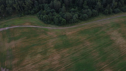 road at the edge of the forest