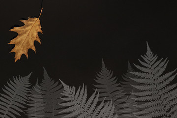 Gold and yellow oak leaf on black background, grey silhouettes of fern leaves. Autumn mood background for custom text.