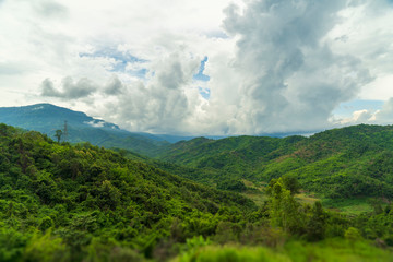 The grassland in the forest is surrounded by colorful houses.