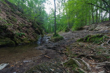 The most beautiful hike in the Belgian Ardennes alongside the Ninlingspo mountain river. Located...