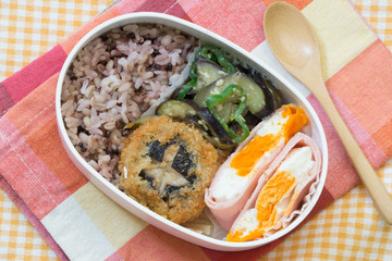玄米のお弁当 japanese lunch box