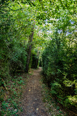 Fototapeta premium Paseo por el cañon y barranco Arandari del Municipio de Burgi /Burgui