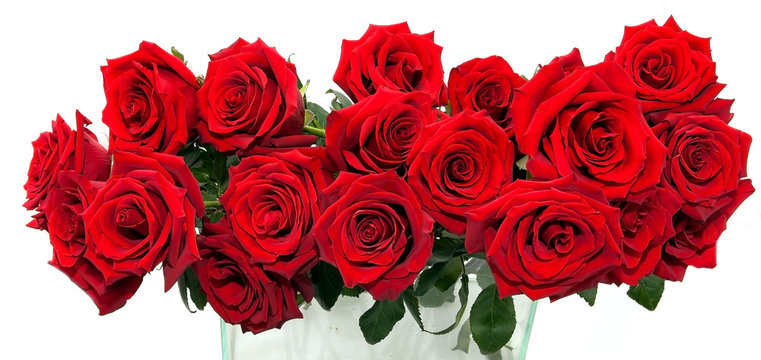 an ordered bouquet of large red roses in a glass vase on a white background
