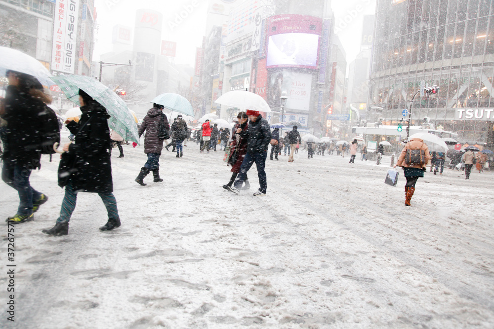 Sticker 雪が降る渋谷のスクランブル交差点