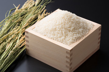 白米と稲穂