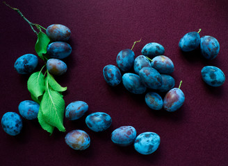 Ripe plums on wine background. Blue fruit autumn and harvest concept. Food presentation, top view, flat lay