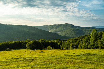 green field on a background of trees and mountains blue sky.