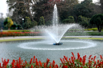 Water fountain and red flower in park