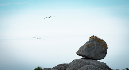 stones sea and seagull