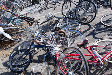 倒れて折り重なる自転車