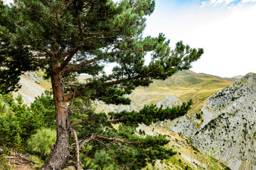 Fototapeta na wymiar Vista durante la subida y bajada al Ibon de acherito desde la Selva de Oza, Huesca